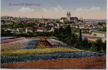 AK Blumenstadt Quedlinburg Ortsansicht 1910