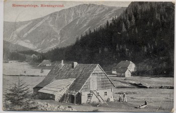 AK Riesengebirge Riesengrund b. Petzer Pec pod Sněžkou Schlesien Tschechien 1916