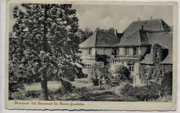 AK Rheininsel Hof Nonnenau bei Mainz Ginsheim 1954