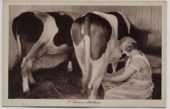 AK Landjugendheim Finkenkrug Beim Melken Kühe b. Seegefeld Falkensee 1930