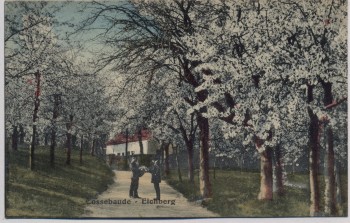 AK Cossebaude bei Dresden Eichberg mit Baumblüte 1910