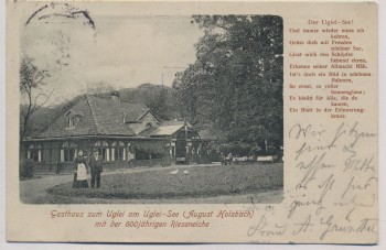 VERKAUFT !!!   AK Gasthaus zum Uglei am Uglei-See mit der 600jährigen Rieseneiche bei Eutin mit Gedicht 1903