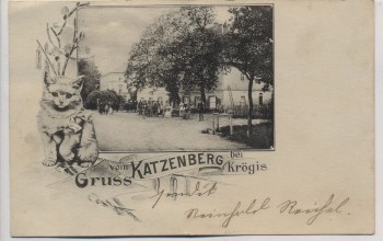 AK Gruss vom Katzenberg bei Krögis Nossen Katze 1901 RAR