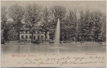 AK Gruss aus Zittau Weinaupark mit Restaurant 1899