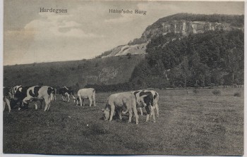 AK Hardegsen Hühn'sche Burg mit Kühen 1910 RAR
