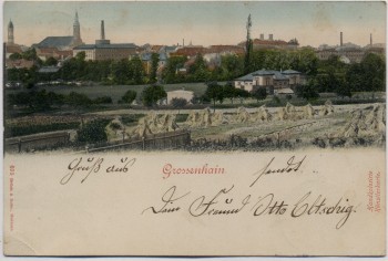 AK Großenhain in Sachsen Ortsansicht mit Feld 1902