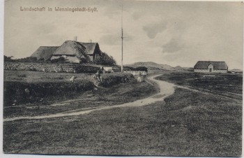 AK Landschaft in Wenningstedt-Sylt Straße Häuser Menschen 1910
