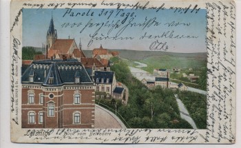 AK Leisnig in Sachsen Blick vom Belvedere Ortsansicht 1909