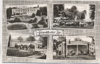 AK Frankfurt am Main Frankfurter Zoo 1960