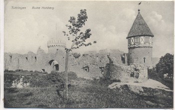 AK Tuttlingen Ruine Honberg 1910