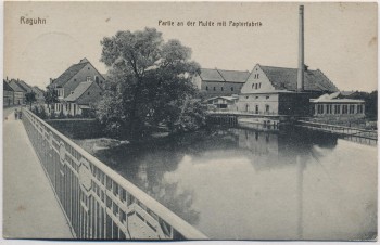 AK Raguhn Partie an der Mulde mit Papierfabrik 1918 RAR