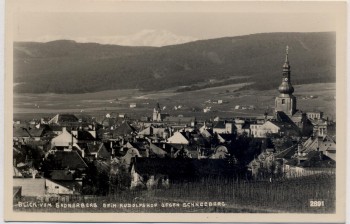 AK Foto Baden bei Wien Blick vom Badnerberg beim Rudolfshof gegen Schneeberg Niederösterreich Österreich 1940