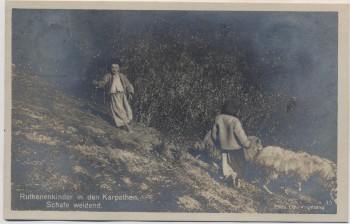 AK Foto Ruthenenkinder in den Karpaten Schafe weidend Ukraine 1915