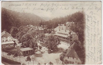 AK Alexisbad bei Harzgerode Ortsansicht 1905