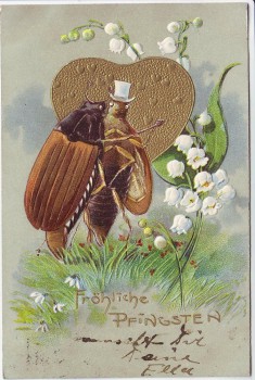 Präge-AK Fröhliche Pfingsten 2 Maikäfer Blumen Herz in Gold 1904