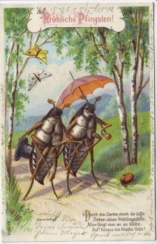 Präge-AK Fröhliche Pfingsten 2 Maikäfer mit Schirm Zylinder Gedicht 1904