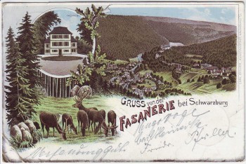 Litho Gruss von der Fasanerie bei Schwarzburg Schwarzatal Thüringen 1898