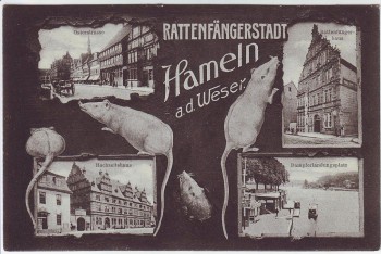 AK Mehrbild Rattenfängerstadt Hameln a. d. Weser Osterstrasse Hochzeitshaus Rattenfängerhaus .. 1907