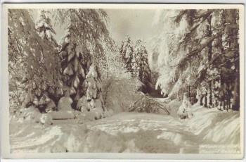 AK Foto Kurort Hartha Winterwald bei Tharandt 1960