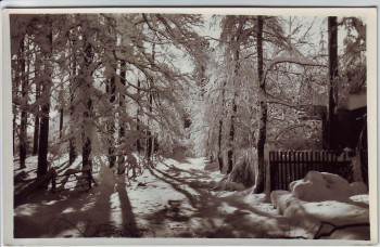 AK Foto Kurort Hartha Ansicht im Winter bei Tharandt 1960