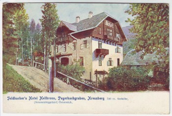 AK Payerbach Hotel Hellbronn Payerbachgraben Kreuzberg Niederösterreich Österreich 1910