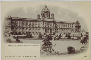 AK Wien Naturhistorisches Museum Österreich 1900