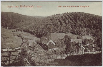 AK Gruss aus Riefensbeek im Harz Gast- und Logierhaus Klapprodt bei Osterode 1908