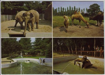 VERKAUFT !!!   AK Mehrbild Jaderberg Tiergarten und Zoogaststätten 1970
