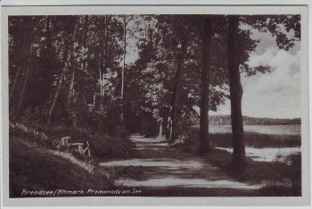 AK Foto Arendsee (Altmark) Promenade am See 1930