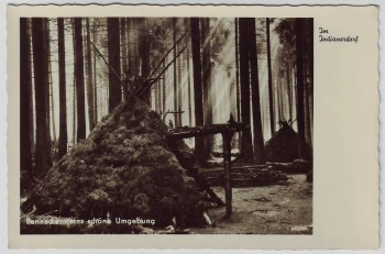 AK Foto Benneckenstein (Harz) Indianerdorf bei Oberharz am Brocken 1955