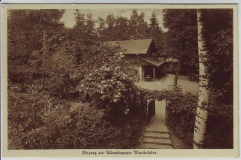 AK Falkenberg (Mark) Eingang zur Uchtenhagener Wanderhütte 1920