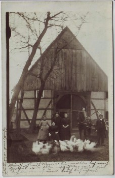 AK Foto Wadersloh in Westfalen Hausansicht mit Menschen Gänse 1914 RAR