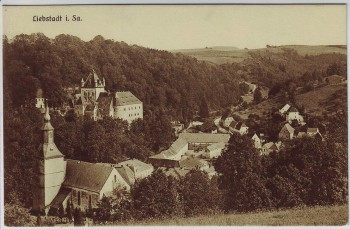 AK Liebstadt in Sachsen Ortsansicht 1910