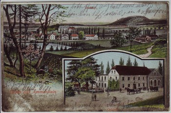 AK Gruss aus Ammelshain Ortsansicht mit Gasthof bei Naunhof 1909