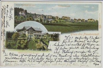 AK Litho Gruss aus Freudenstadt Hotel Waldlust mit Villenvorstadt 1906
