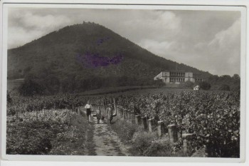 AK Foto Rhodt unter Rietburg Blick auf Villa Ludwigshöhe Weinstraße 1935
