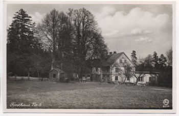 AK Foto Deutsch Gabel Forsthaus Nr. 6 Jablonné v Podještědí Sudetengau Tschechien 1940