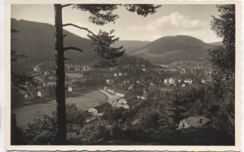 AK Foto Herrenalb / Schwarzwald Ortsansicht 1940
