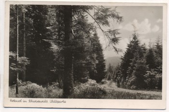 AK Foto Rotensol im Schwarzwald Waldpartie b. Herrenalb Landpoststempel 1952