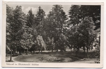 AK Foto Rotensol im Schwarzwald Waldsee b. Herrenalb Landpoststempel 1952