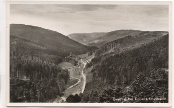 AK Foto Eyachtal bei Dobel im Schwarzwald 1950