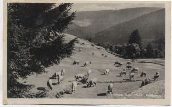 AK Manebach Thüringer Wald Kuhherde bei Ilmenau 1950