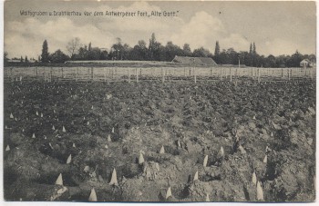 AK Wolfsgruben u. Drahtverhau vor dem Antwerpener Fort Alte Gott Antwerpen 1. Weltkrieg Belgien 1915