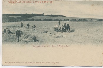 AK Roggenmähen mit dem Selbstbinder b. Süderbrarup 1910