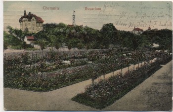 AK Chemnitz Rosarium Stadtpark Soldatenkarte 1908