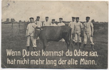 AK Soldaten mit Ochse Spruch Reserve Soldatenkarte 1909