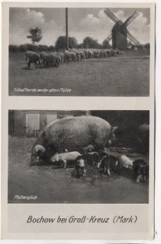 VERKAUFT !!!   AK Bochow bei Groß Kreutz Schafherde an der alten Mühle Mutterglück 1950 RAR