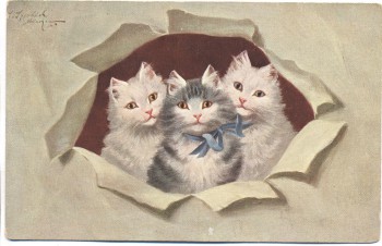 Künstler-AK 3 Katzen nach vorn schauend 1910