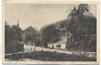 AK Löbau Sachsen Ziegenkopf und Krankenhaus 1917