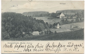 AK Sommerfrische Mulda in Sachsen Ortsansicht mit Rittergut 1909
